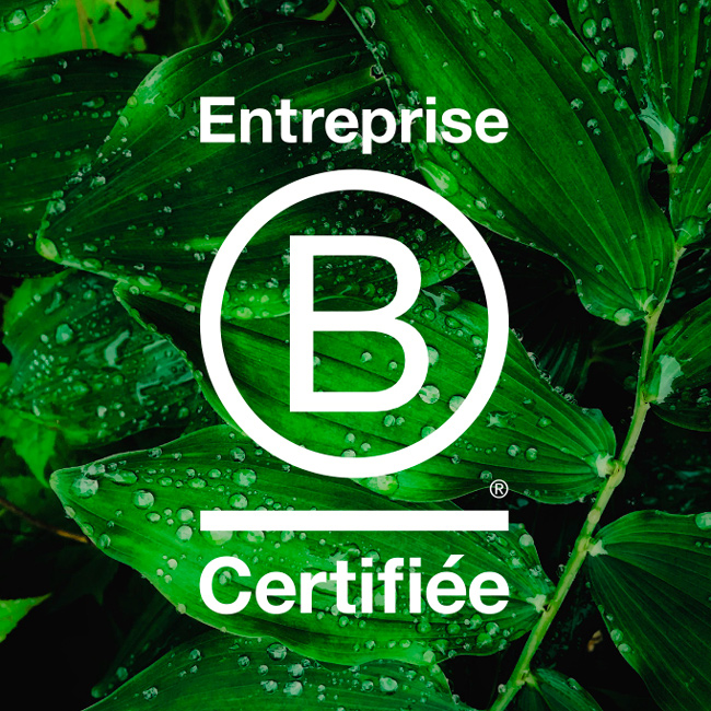 B Corp